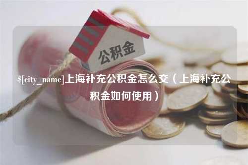 昆明上海补充公积金怎么交（上海补充公积金如何使用）